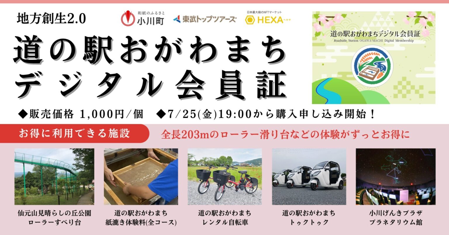 Bee様リクエスト商品 Amazon | TEAMWENDY(チームウェンディ) Exfil カーボン